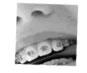 Wertz Orthodontics